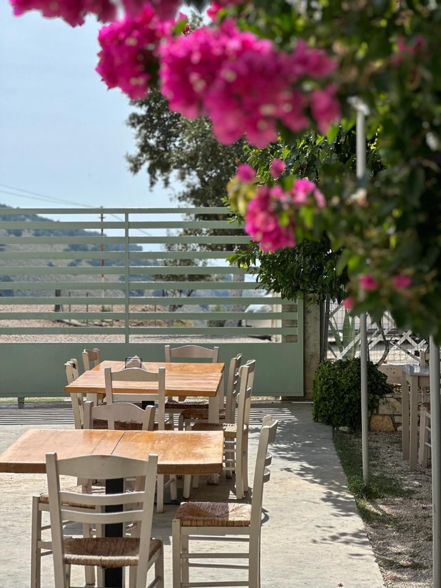 Elea Guesthouse 히마레 외부 사진
