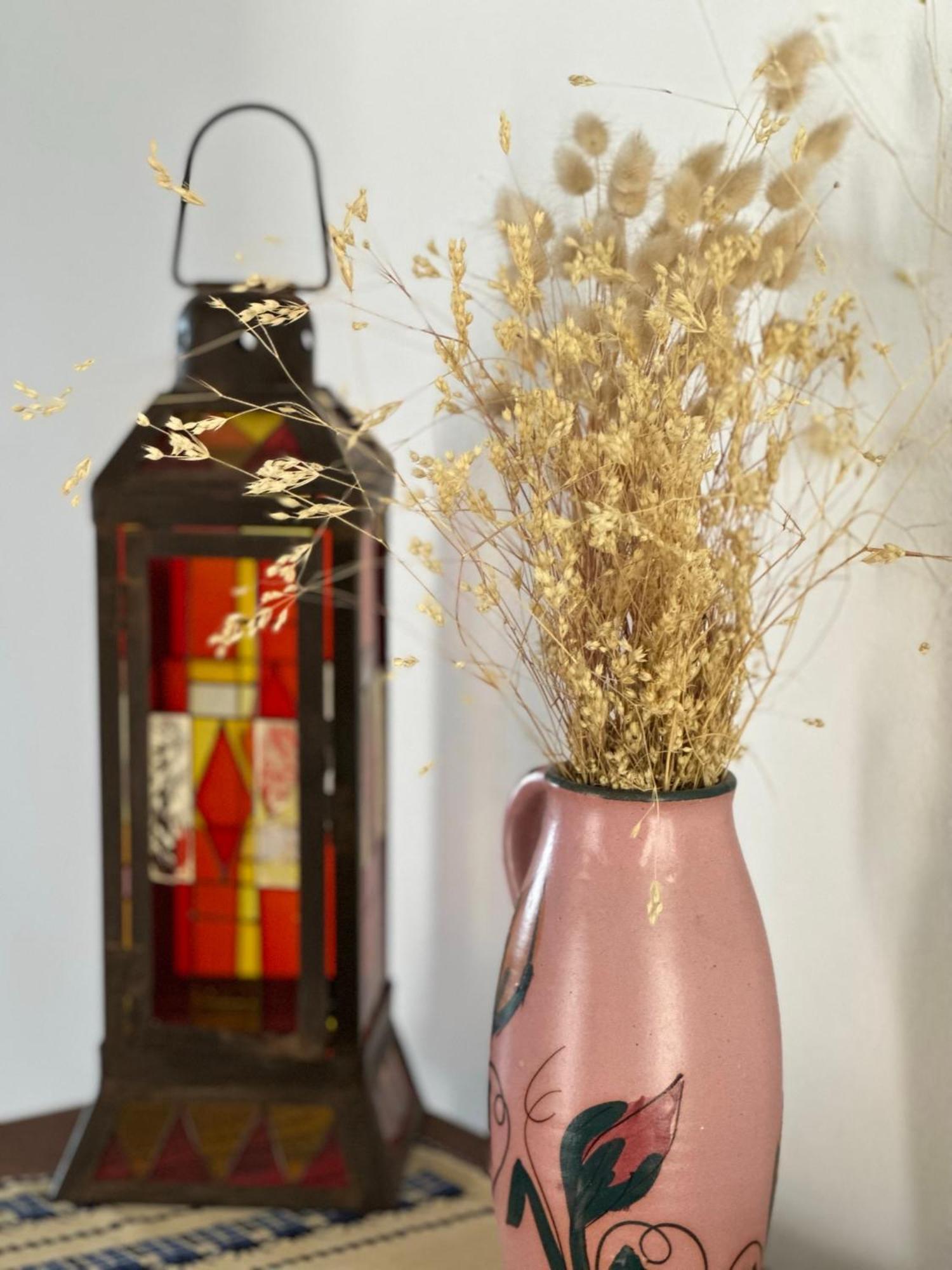 Elea Guesthouse 히마레 외부 사진
